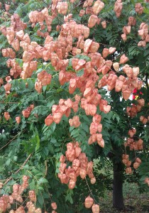 20170812_143227.jpg