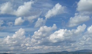 20170701_151713-3-1.jpg