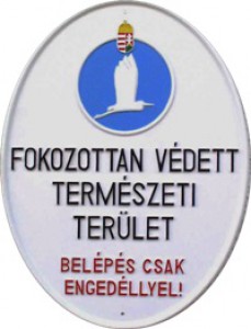 fokved.jpg