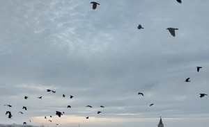 20201228_093432-4.jpg