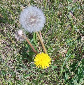 20210425_104030-3.jpg
