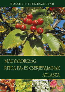 Bartha Denes konyve