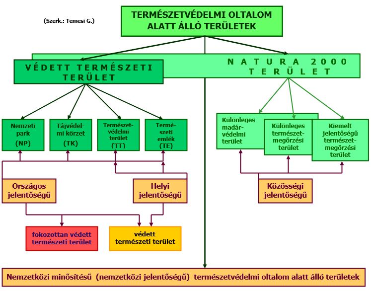 termolt11